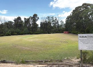 Walhalla cricket ground vandalised once again