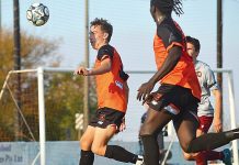 Fortuna flounder at home