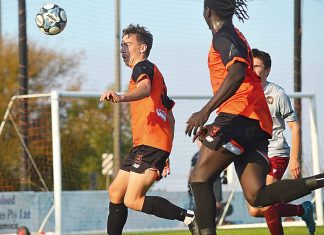 Fortuna flounder at home