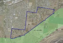 Arrangements needed for precinct plan