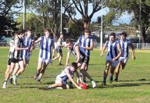 Charting the next decade of Gippsland footy and netball