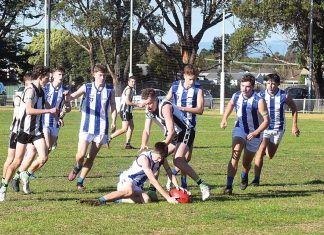 Charting the next decade of Gippsland footy and netball