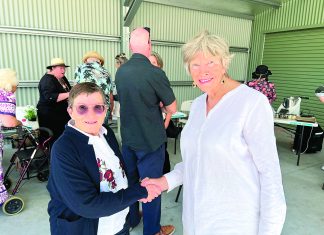 Labor hopeful set to run again