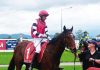 Local wins at Moe races