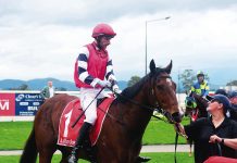 Local wins at Moe races