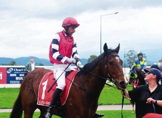 Local wins at Moe races