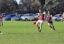 Four figures: MacDonald reaches a century of goals