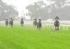Moe meeting abandoned four races in