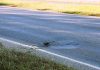 All sides agree: proper investment needed to fix rocky roads