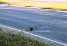 All sides agree: proper investment needed to fix rocky roads