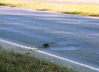 All sides agree: proper investment needed to fix rocky roads