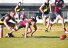 Maroons peaking in time