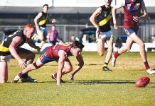 Maroons peaking in time
