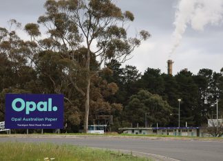 Paper cut: 84 jobs gone