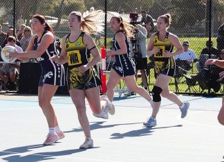 Cougars, Bombers for spot in grand final