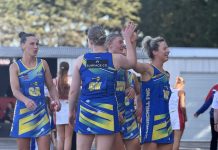 Cougars, Bombers for spot in grand final