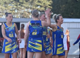 Cougars, Bombers for spot in grand final