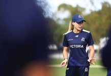Follow me: Faltum appointed