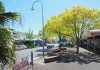 Have your say on council-managed land