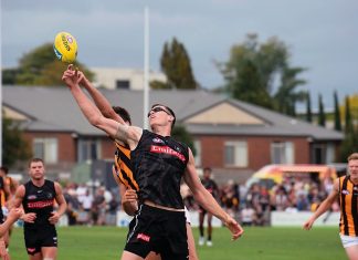 Locals well connected on AFL grand final day