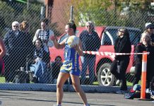 Cougars intensity too much for TTU