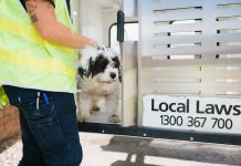 Local amenity law updated