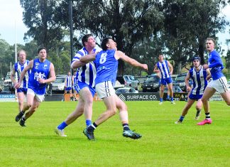Wildcats into fourth consecutive decider