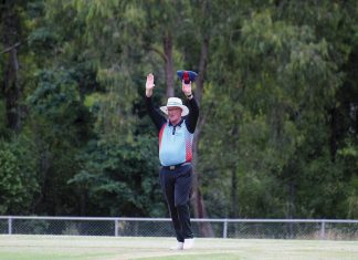 Call out for more umpires