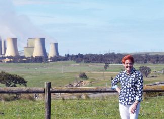 Rock star reception: Pauline Hanson to keep coal power