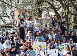 Cougars: saving the best for last