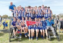 Kangaroos hop to dual success