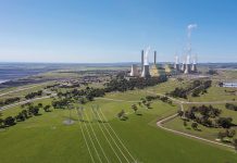 Nuclear plants can last up to 100 years, while solar panels and wind farms only 20: Expert says