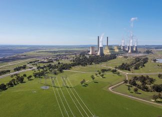 Nuclear plants can last up to 100 years, while solar panels and wind farms only 20: Expert says