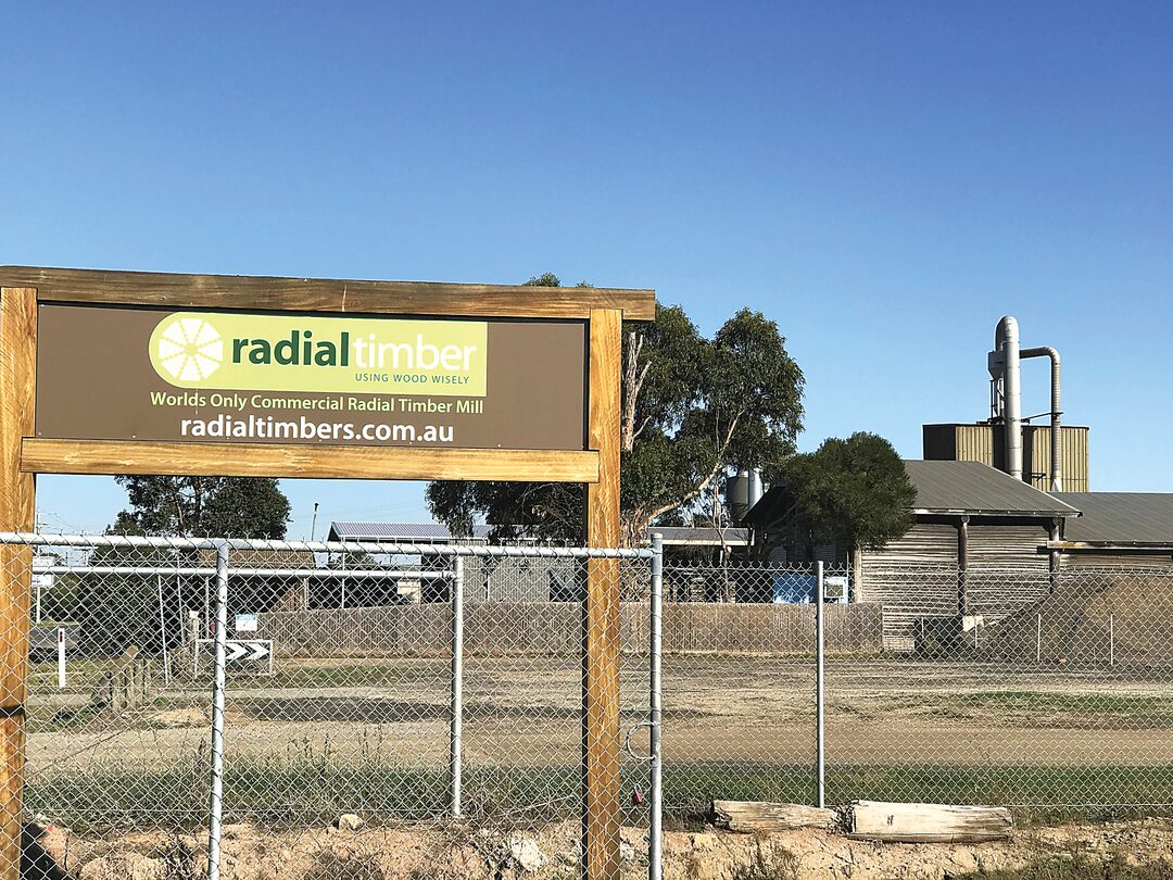 RadialTimber_65503