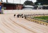 Legislative changes seek to provide greater accountability